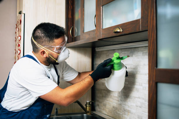 Best Cockroach Control Services  in Brookville, OH