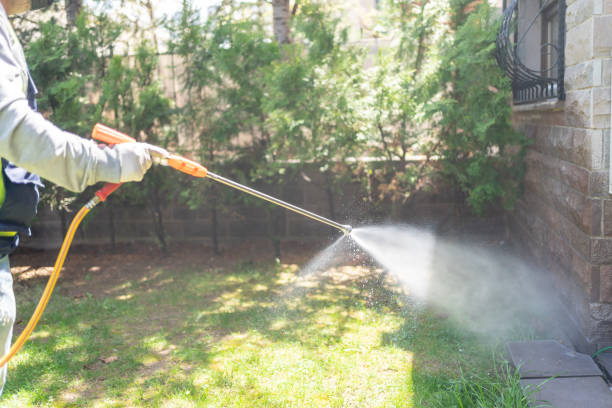 Best Termite Control Services  in Brookville, OH